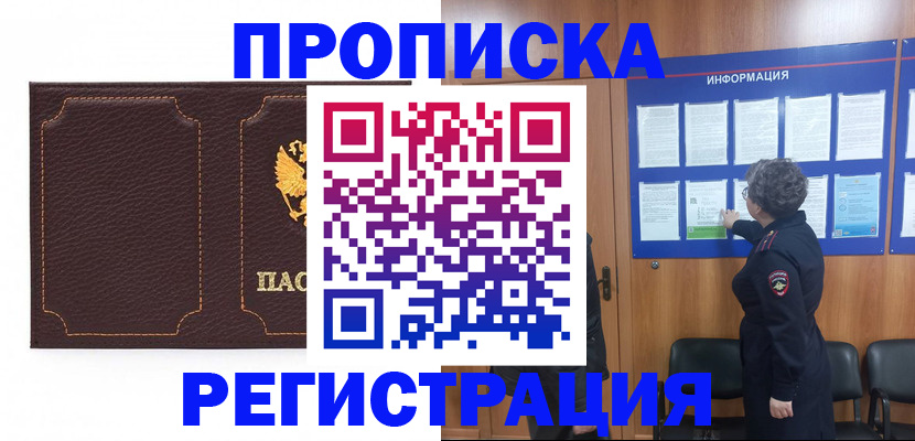 прописка в Сольцах